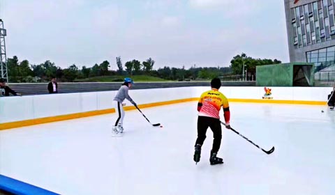 インテリジェントな氷と雪のスポーツ